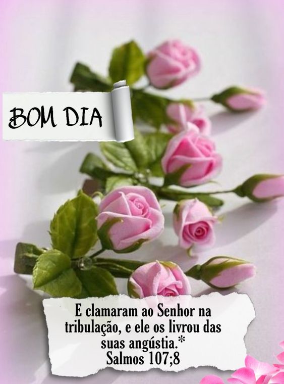 bom dia com flores salmos 107