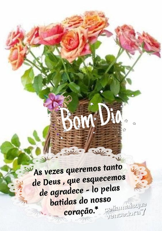 Bom dia com flores agradece