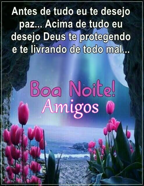 Boa noite amigos desejo Deus te protegendo.