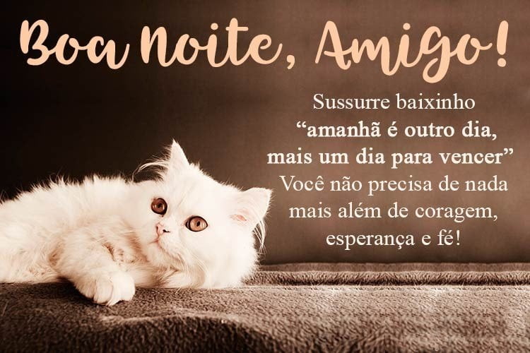 Boa noite amigos amanhã é outro dia.