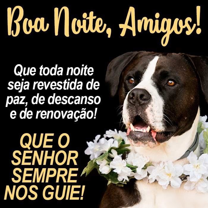 Boa noite amigos de renovação.