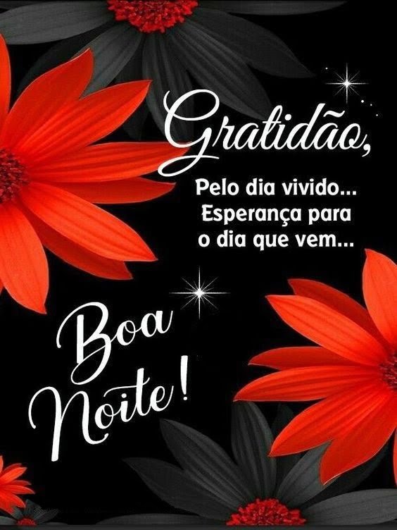 Boa noite gratidão pelo dia vivido.