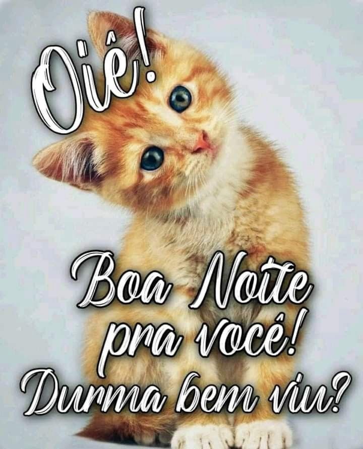 Boa noite durma bem viu?