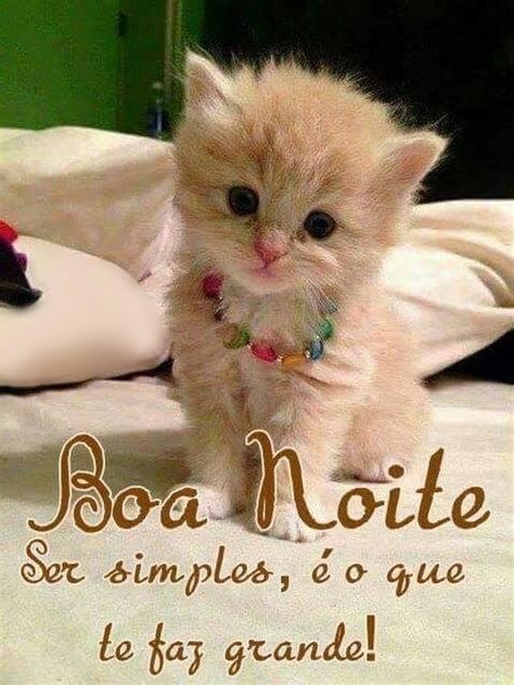 Boa noite ser simples.