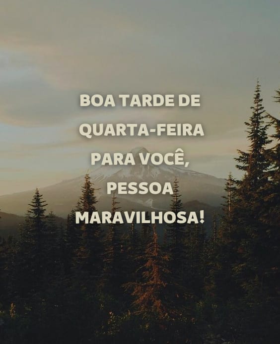 Feliz dia pessoa maravilhosa