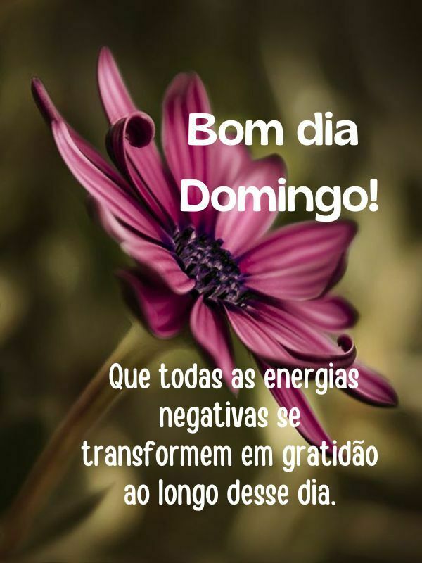 Bom dia domingo abençoado energias