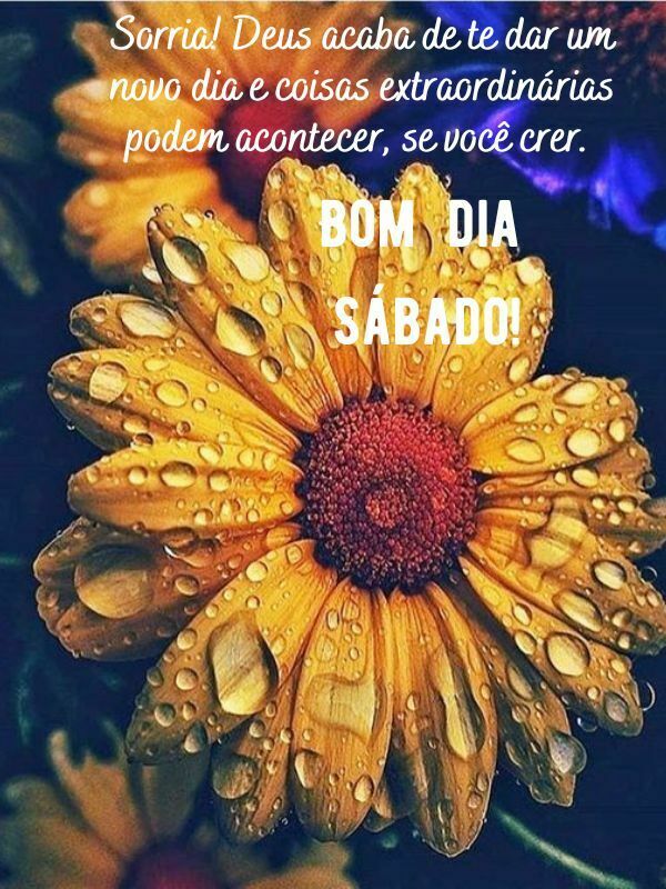 Bom dia sábado de Deus