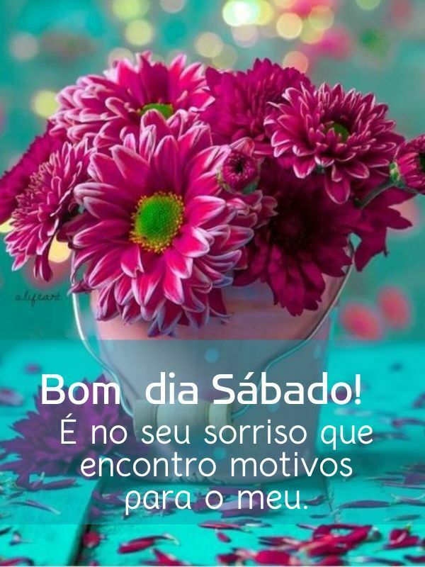 Bom dia sábado vida linda