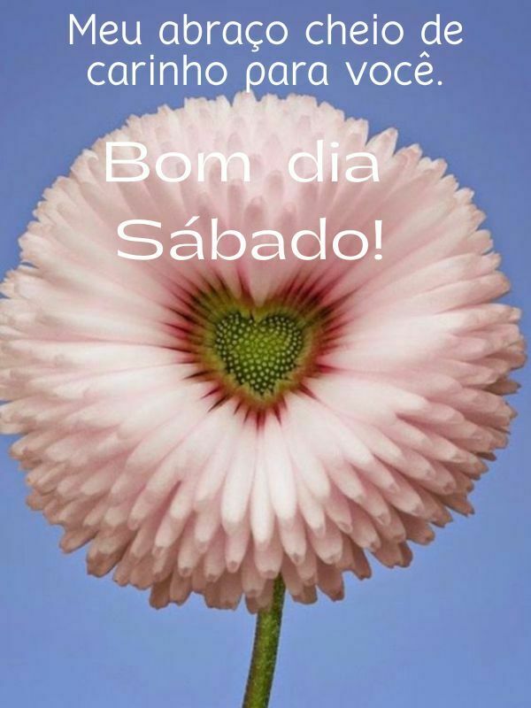 Bom dia sábado flor rosa