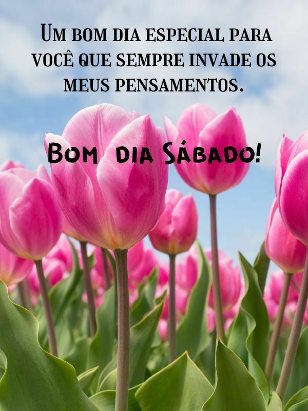 Bom dia sábado especial