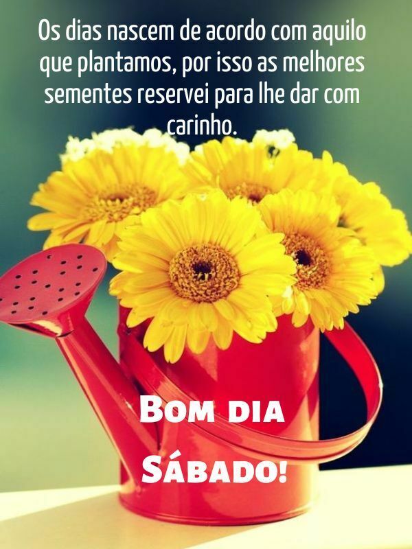 Bom dia sábado de reservas