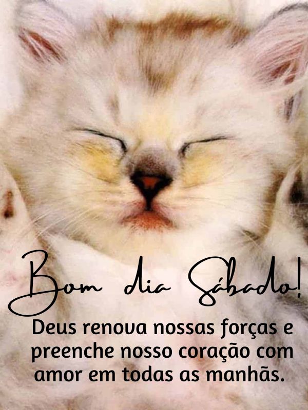 Bom dia sábado com gatinho