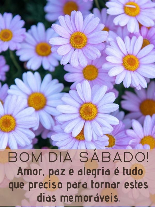 Bom dia sábado de paz