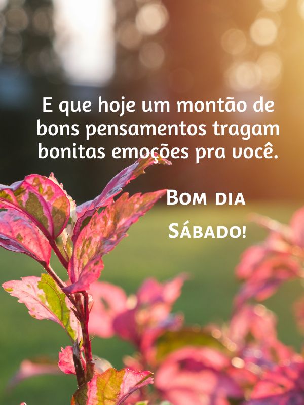 Bom dia sábado de muitas emoções