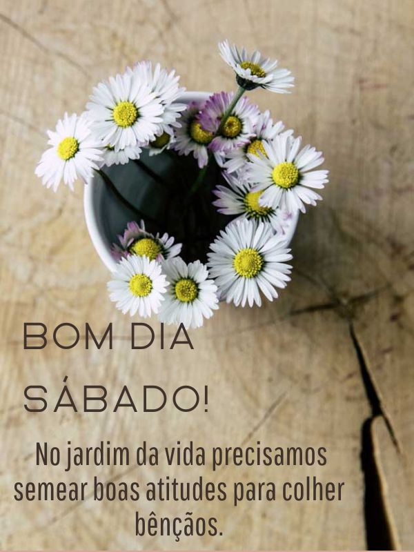 Bom dia sábado jardim florido