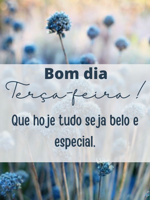 Bom dia terça-feira de belo carinho