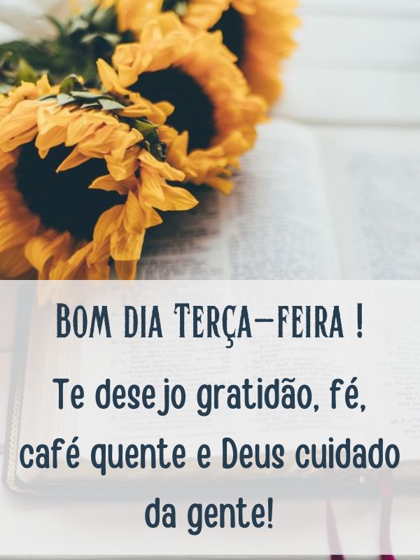 Bom dia terça-feira de carinho e gratidão