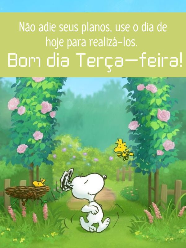 Frases animadas de bom dia terça-feira 