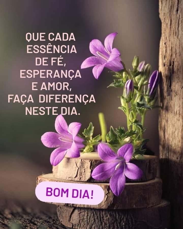 Bom dia com flores essência de fé.
