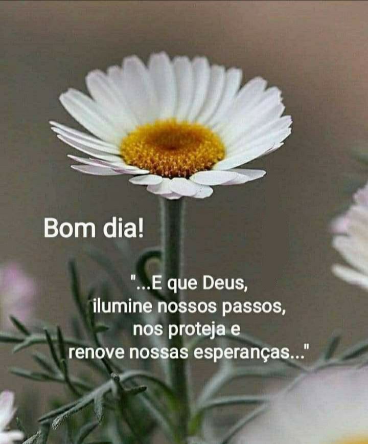 Bom dia com flores renove nossas esperanças.