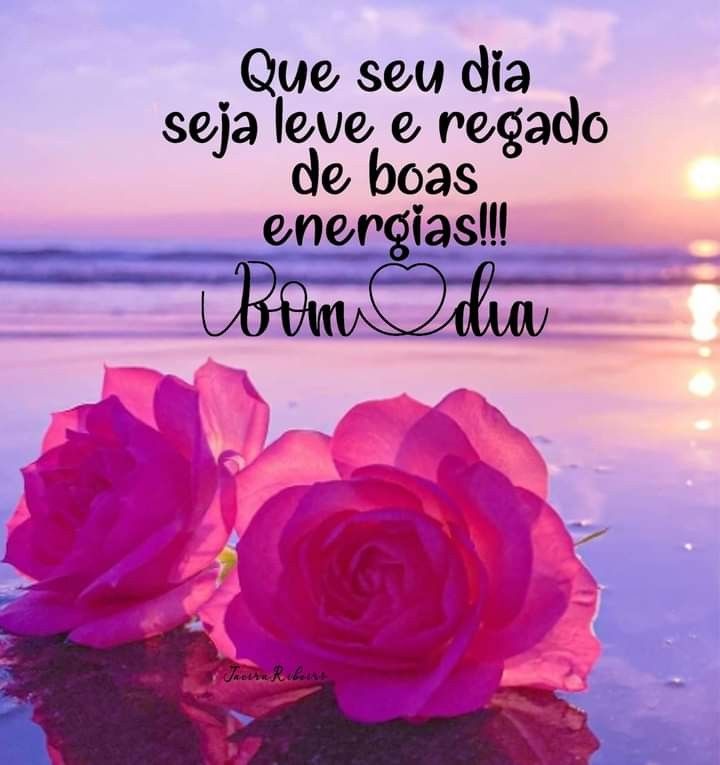 Bom dia com flores e boas energias.