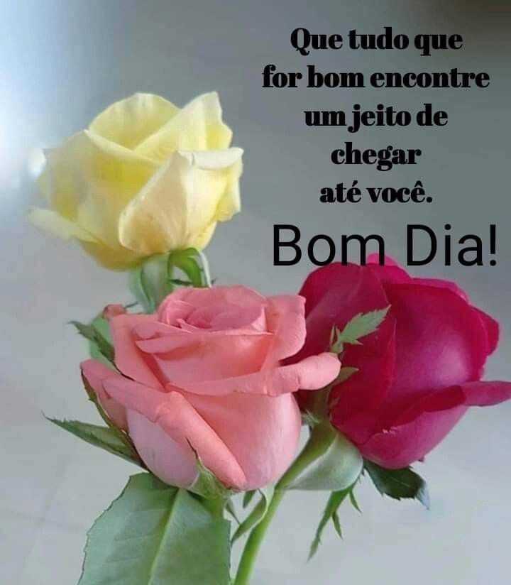 Bom dia com flores e tudo que for bom.