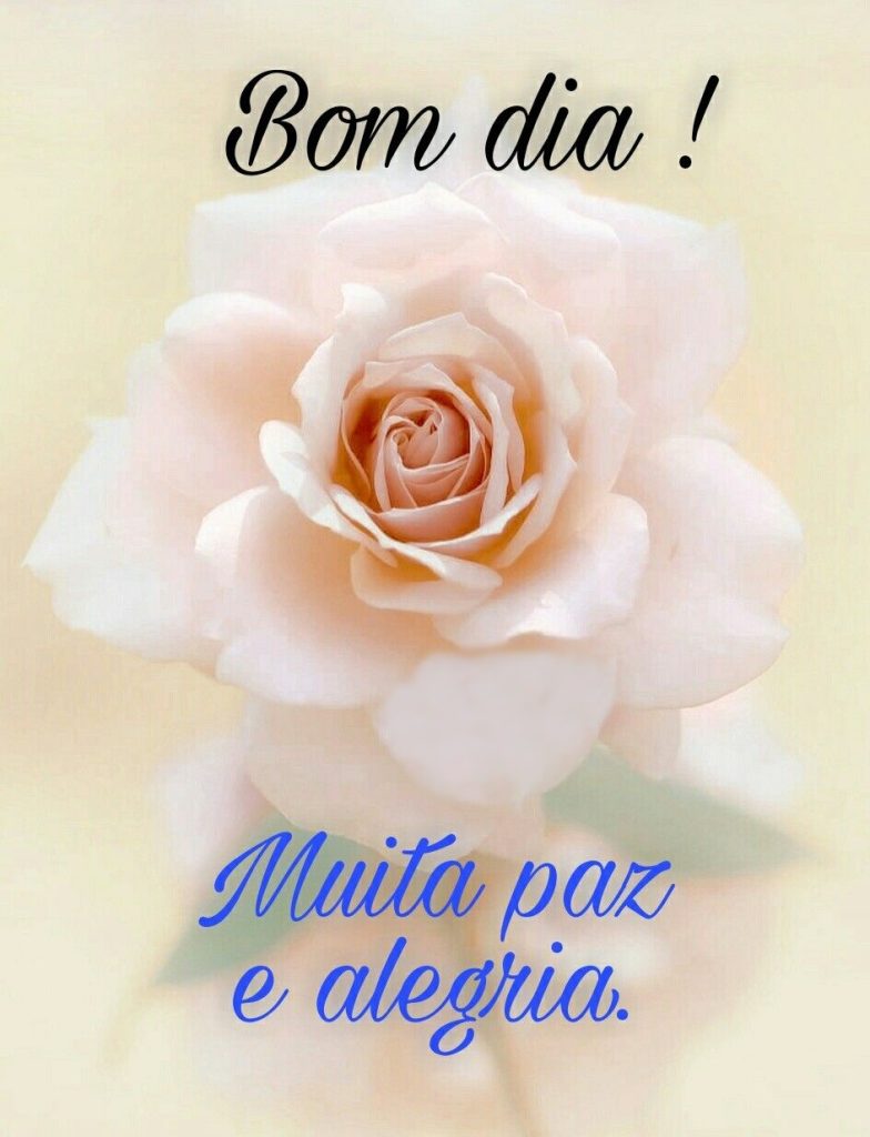 Bom dia com flores, paz e alegria.