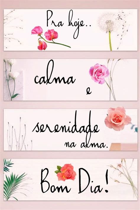 Bom dia com flores, serenidade na alma.