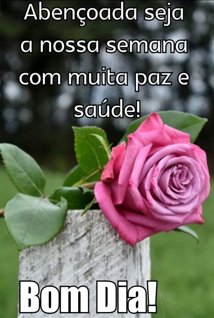 Bom dia com flores, paz e saúde.