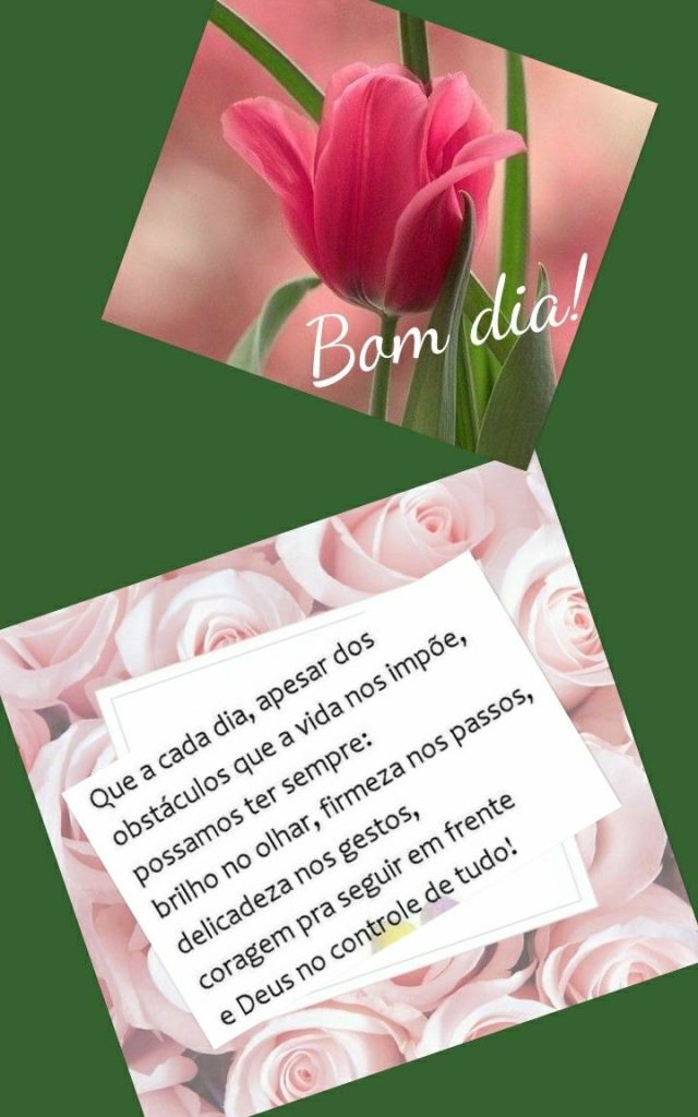 Bom dia com flores seguir em frente.