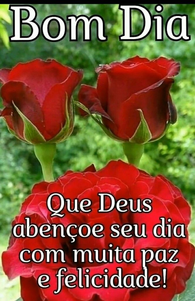 Bom dia com flores, muita paz e felicidade.