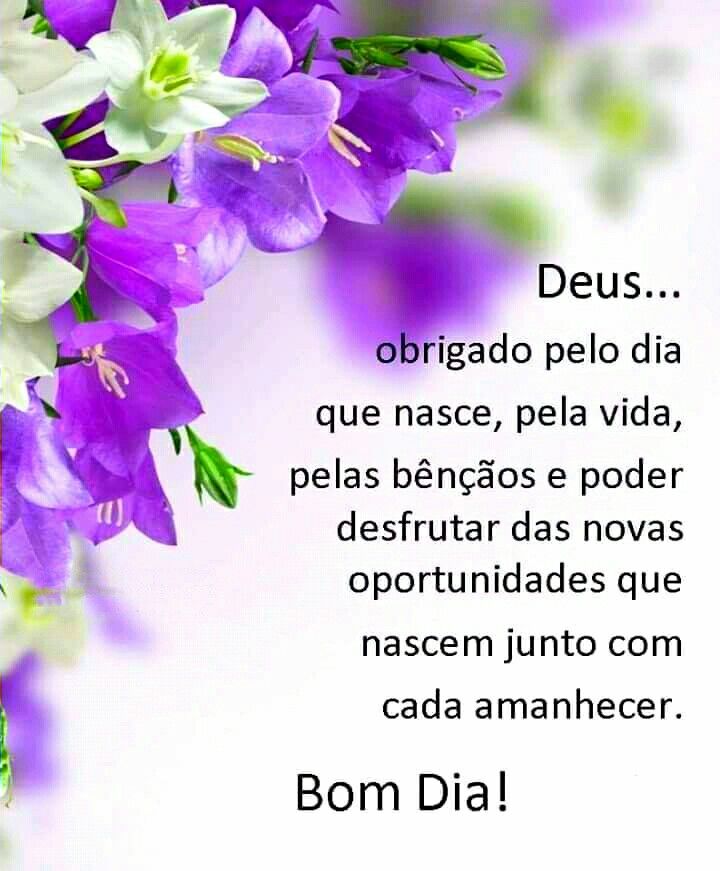 Bom dia com flores e lindas mensagens