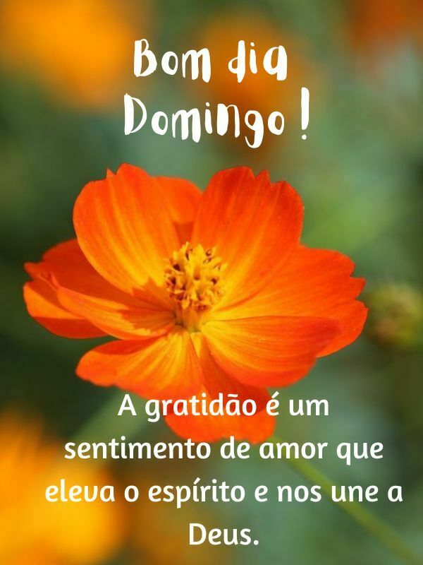 Bom dia domingo abençoado sentimento