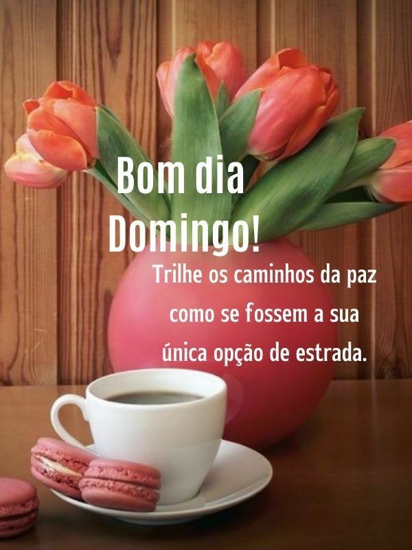 Bom dia domingo abençoado estrada