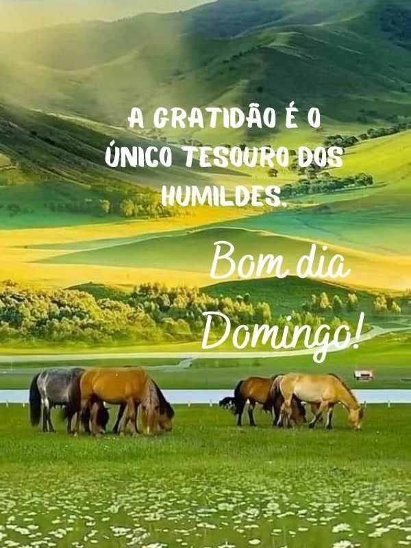 Bom dia domingo abençoado humide