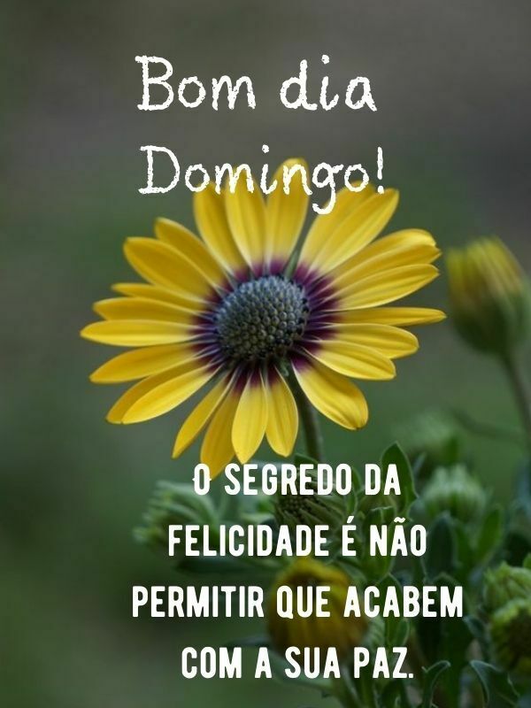 Bom dia domingo abençoado felicidade