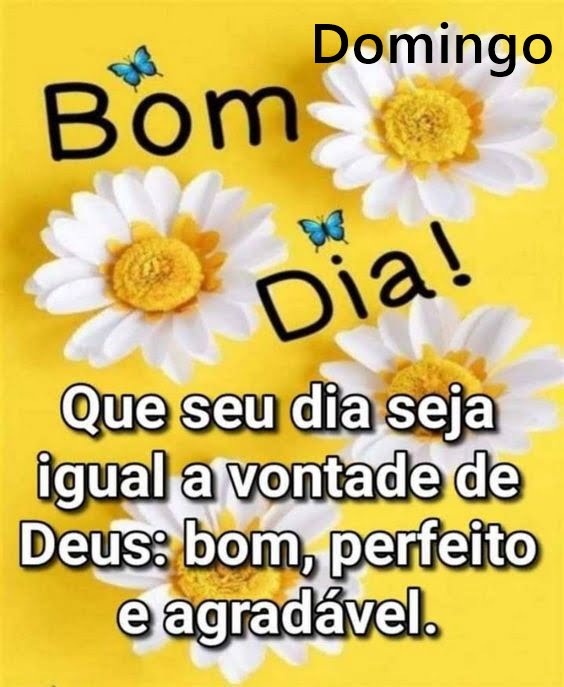 Bom dia domingo igual a vontade de Deus.