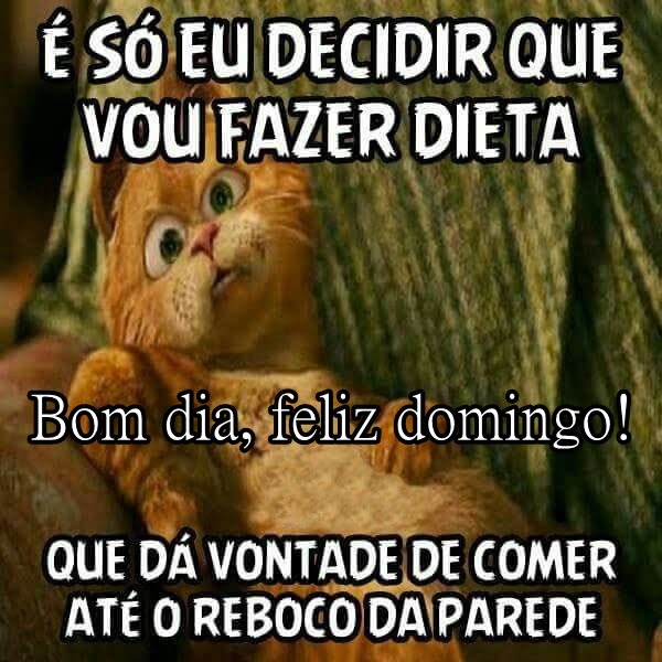 Bom dia domingo vou fazer dieta.