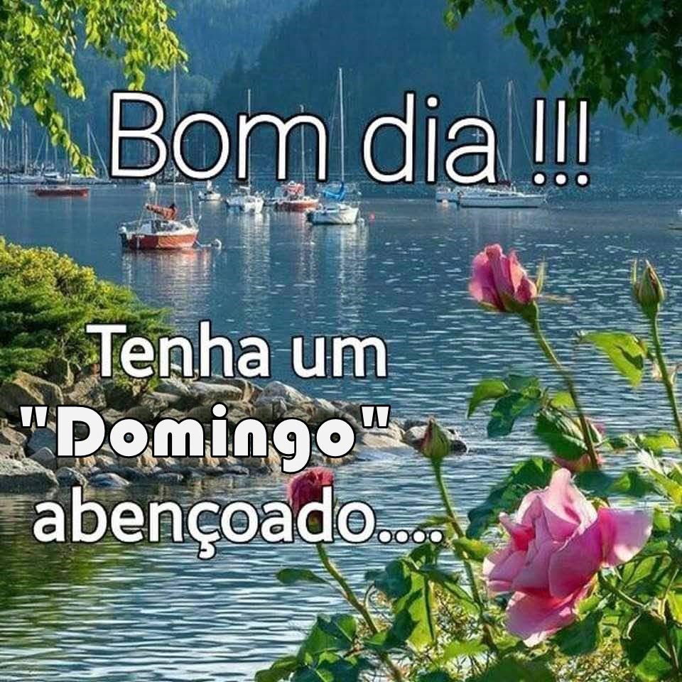 Bom dia domingo abençoado.