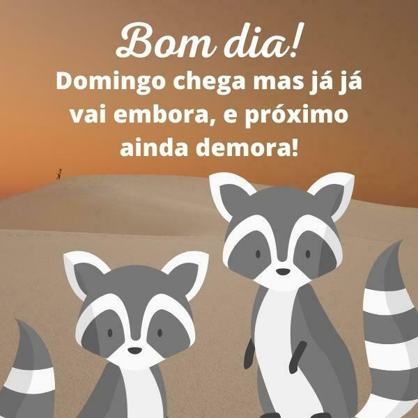 Bom dia domingo já já vai embora.