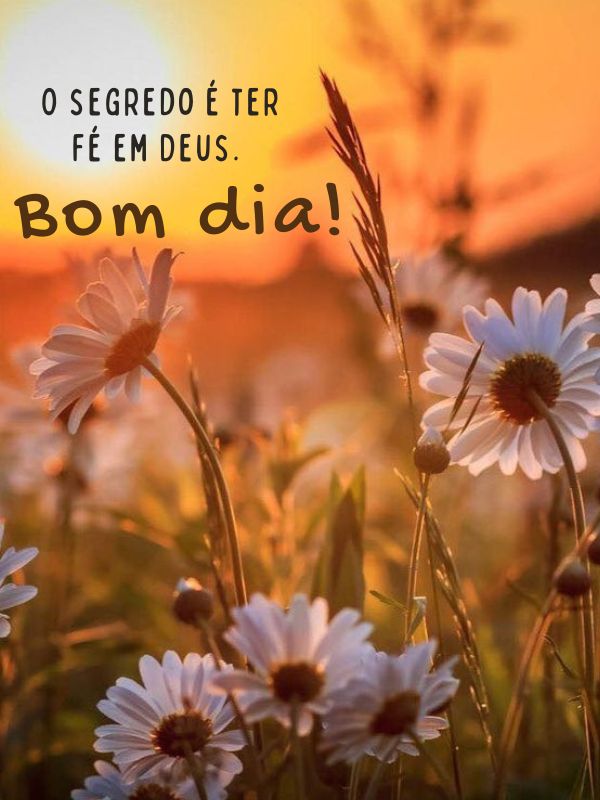 Bom dia motivacional de fé divina