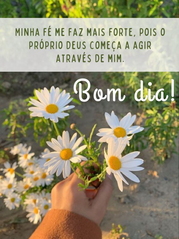 Bom dia motivacional para agir