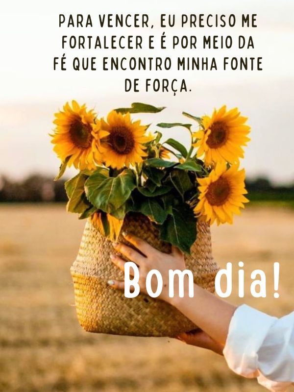 Bom dia motivacional fonte de fé