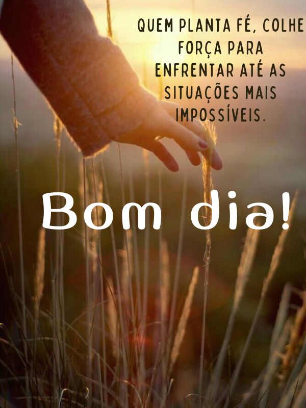 Bom dia motivacional para você