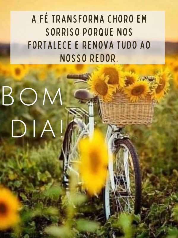 bom dia motivacional de sorrisos