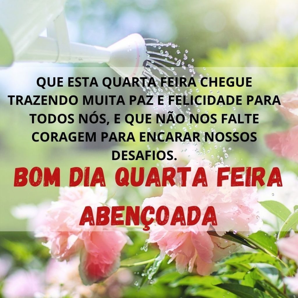 Bom dia quarta-feira nossos desafios.