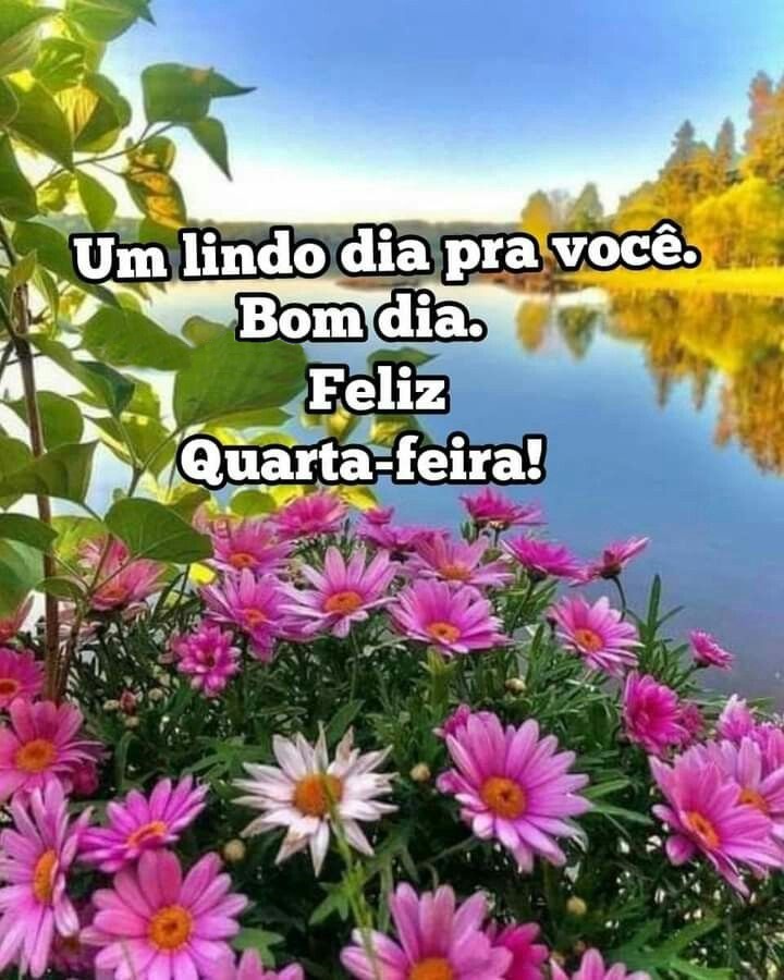 Bom dia quarta-feira um lindo dia pra você.