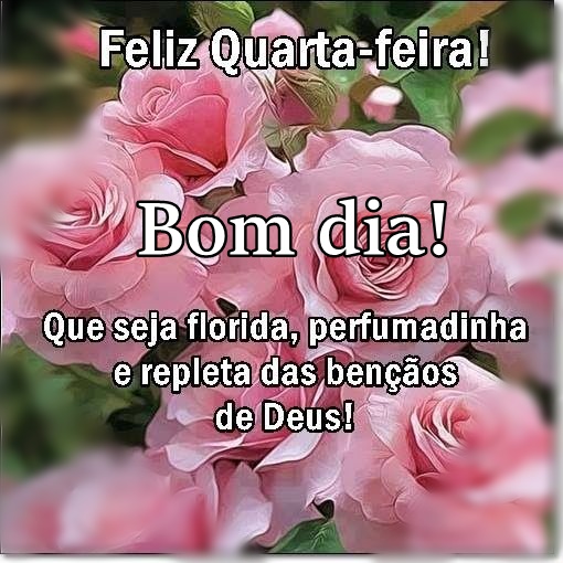 Bom dia quarta-feira florida, perfumadinha e repleta de bênçãos.