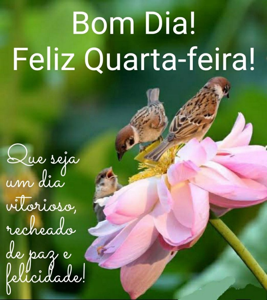 Bom dia quarta-feira um dia vitorioso.