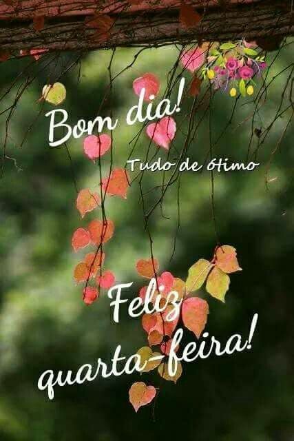 Bom dia, tudo de ótimo, feliz quarta-feira.